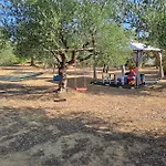 Mariana Villa *