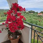 Villa Mariana *