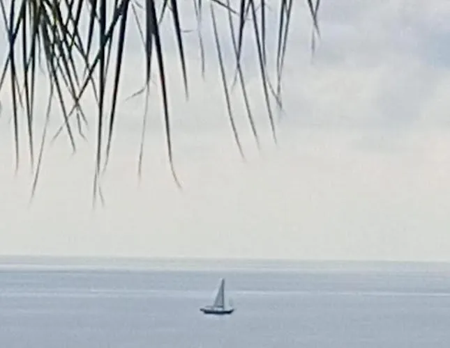 Mariana Villa *
