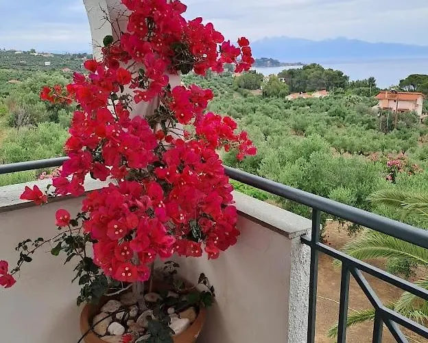 Villa Mariana *
