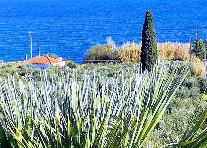 Villa Mariana *