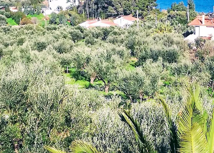 Mariana Villa *