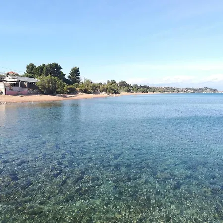 Mariana * Koroni (Messinia)