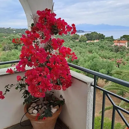 Villa Mariana *