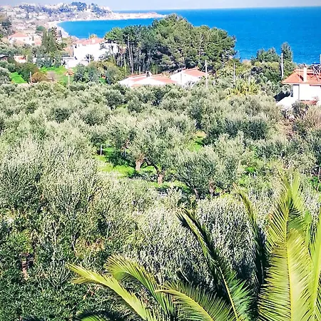 Mariana Villa *