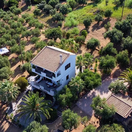 Mariana Villa *